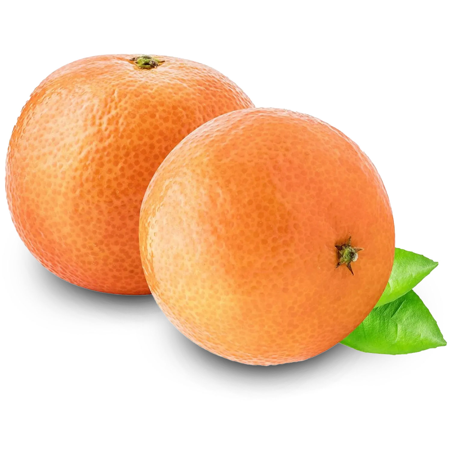 grapefruit