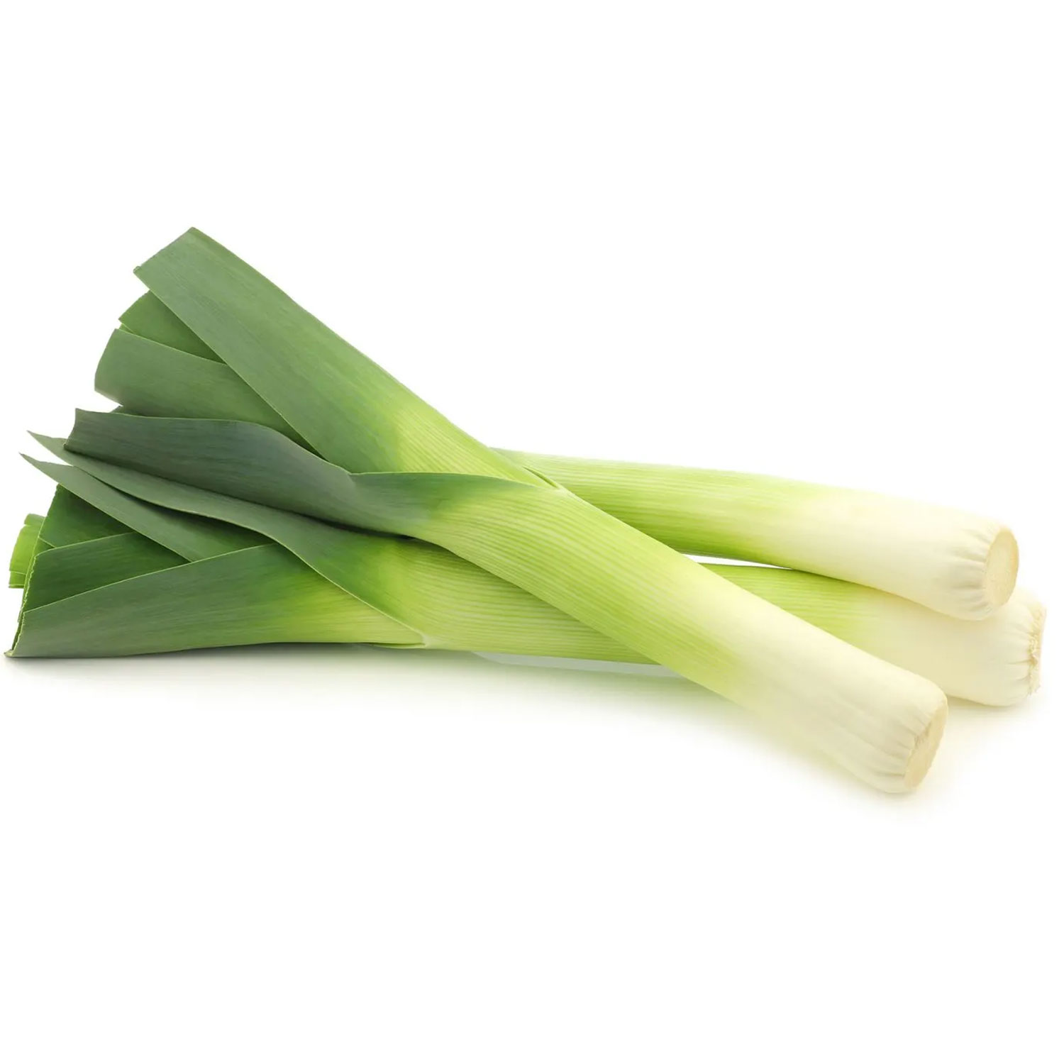 leek
