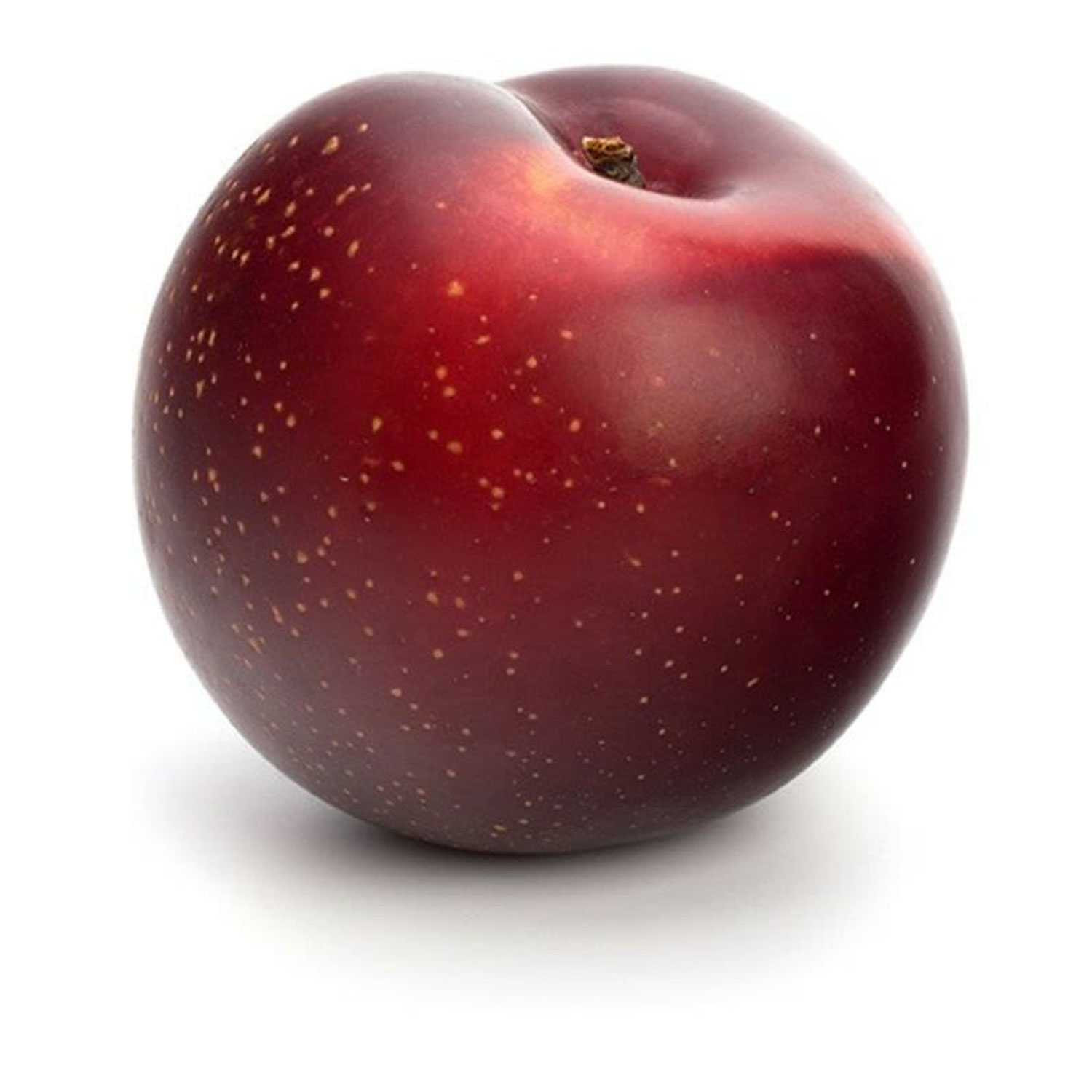 plum